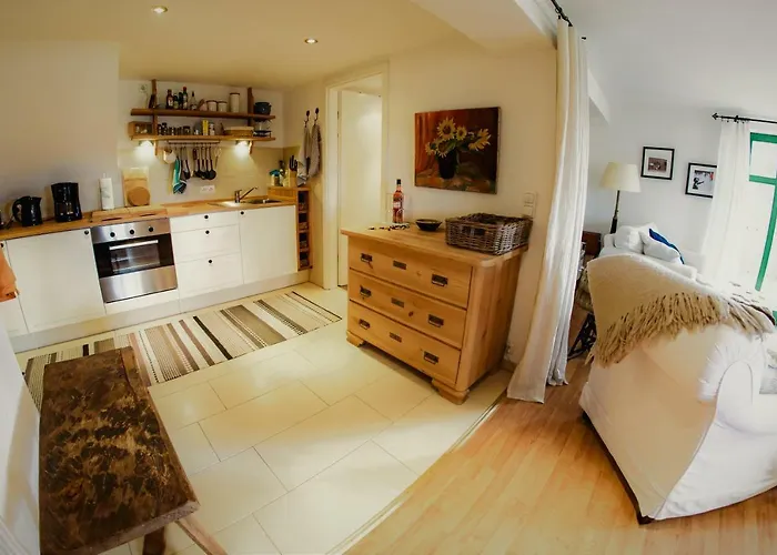 Traumhaftes Elb-chalet Appartement Dresden